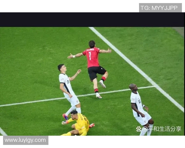 2012年欧洲杯德国与奥地利的精彩对决回顾与分析